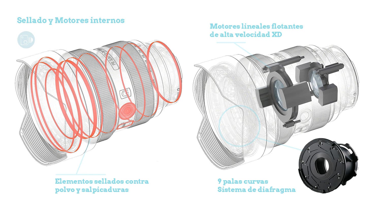 Sellado FE 12-24 mm GM Motor enfoque